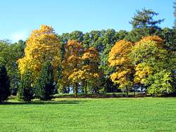 Herbst in Oslo