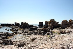 Reste silurischer Riffe auf Gotland